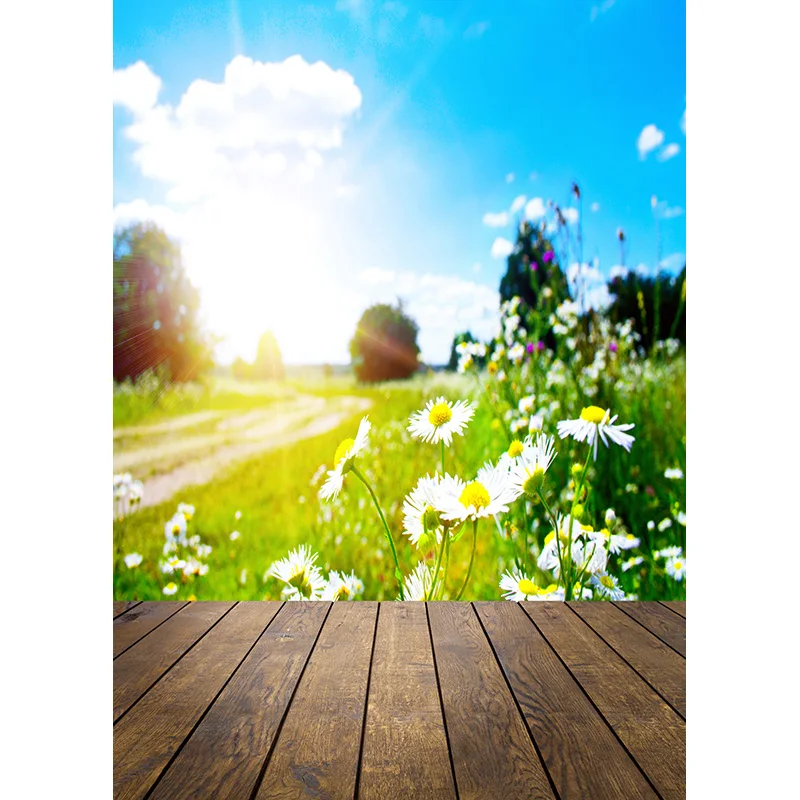 ZHISUXI Landscape Spring Forest Wooden Floor Photography Backgrounds Sky Sea Scenery Baby Photo Backdrops Studio 210309TFX-03