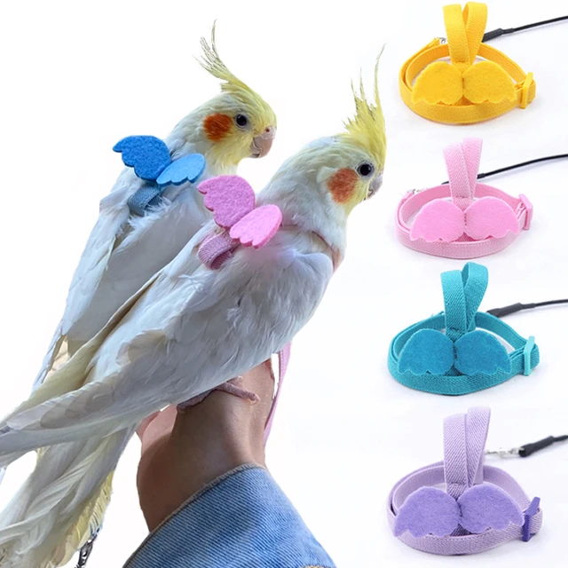 Pet Bird Harness Adjustable Parrot Harness Leash Set Anti bite Outdoor Training Flying Rope For Budgerigar Lovebird Cockatiel AliExpress