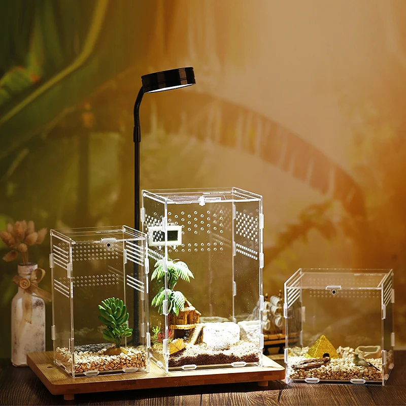 

Reptile Breeding Box Acrylic Transparent Spider Lizard Scorpion Enti's Acrylic Assembled Insect Breathable Terrarium