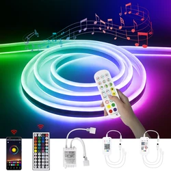 Tira de luces LED de neón para decoración del hogar, luces RGB de 12V de CC, resistente al agua, SMD 3030, Bluetooth, música, Control remoto, Tuya, Wifi