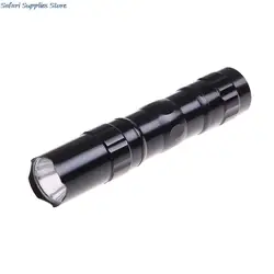 Waterproof Mini LED Flashlight Torch Pocket Light Portable Lantern AA Battery Powerful Led For Hunting Camping