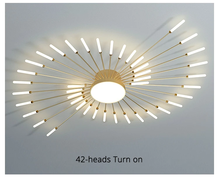 QIYIMEI Modern Ceiling Lights LED Luster Indoor Lighting For Bedroom Hall Living Kids Room Acrylic Lamps Fixture Frame 175-260V