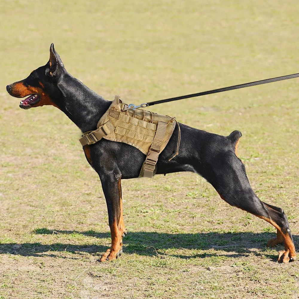 Military Tactical Dog Vest Harness K9 Working Dog Nylon Bungee Leash Lead Training Running For Medium Large Dogs German Shepherd