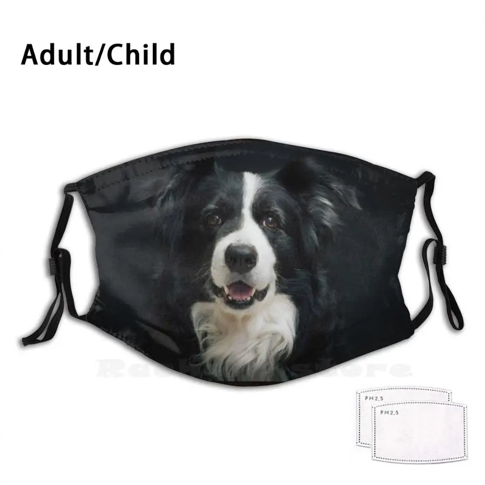 Dog Border Collie maschera per il viso stampa divertente riutilizzabile Pm2.35 filtro maschera per il viso lupo lupo cani cani segni amici compagni animale