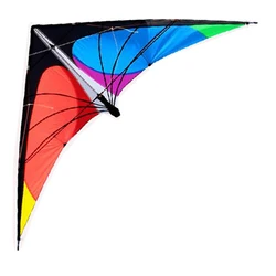 NEW LISTING 1.8m Power Professional Dual Line Stunt Kite With Handle And Line Good Flying Factory Outlet