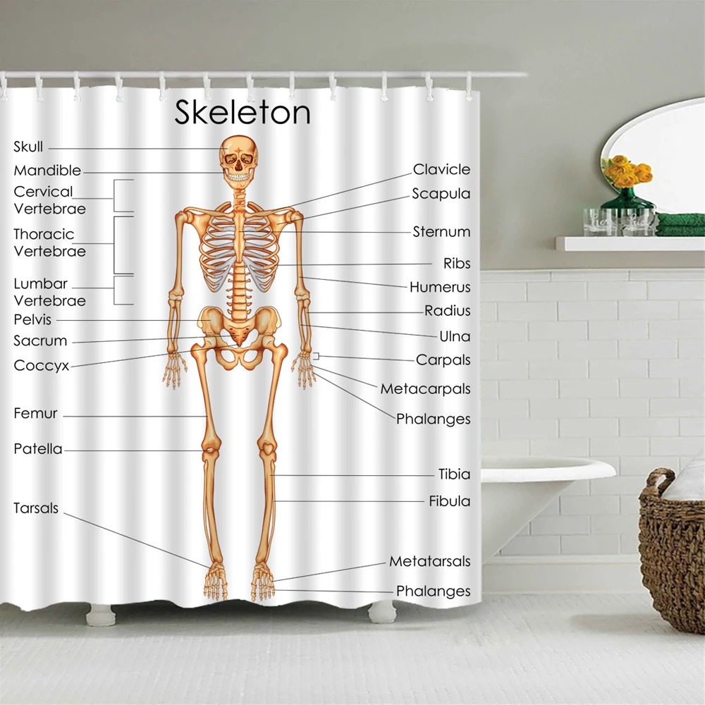 Human Anatomy Shower Curtain Complete Chart of Different Organ System Cell Life Medical Illustration Bathroom decor 180x180cm