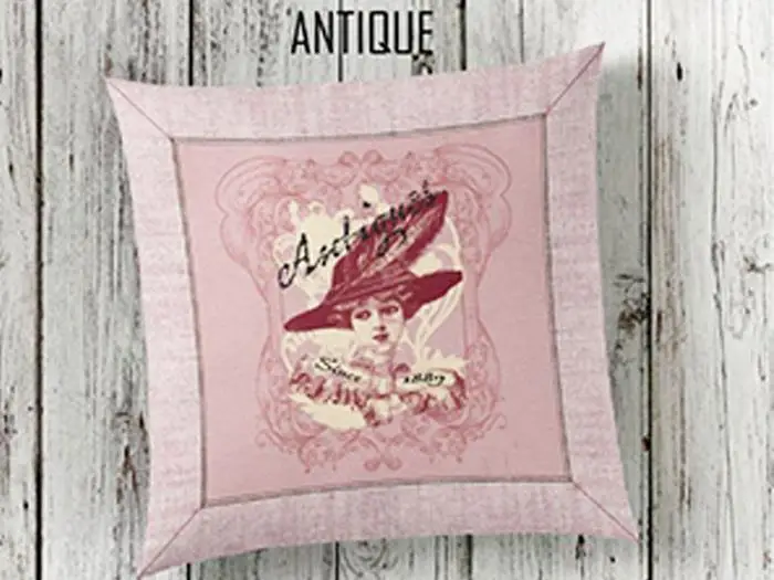 Antique 3d Pillow decorate