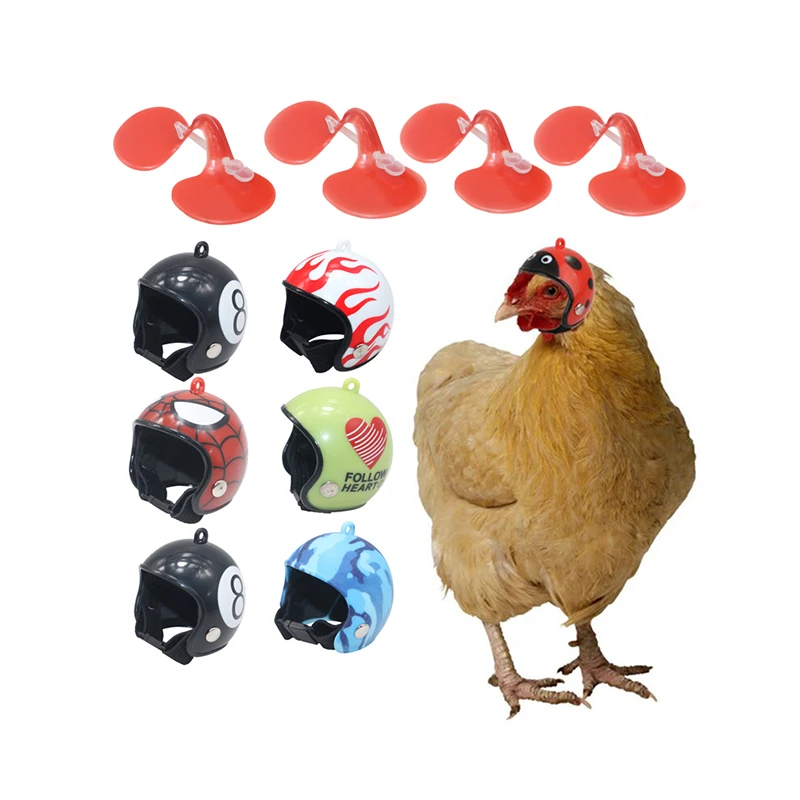 Helmet 1 Pcs Chicken glasses 10 Pcs Pet chicken helmet Protective chicken glasses Pet personality decoration Chicken hard hat