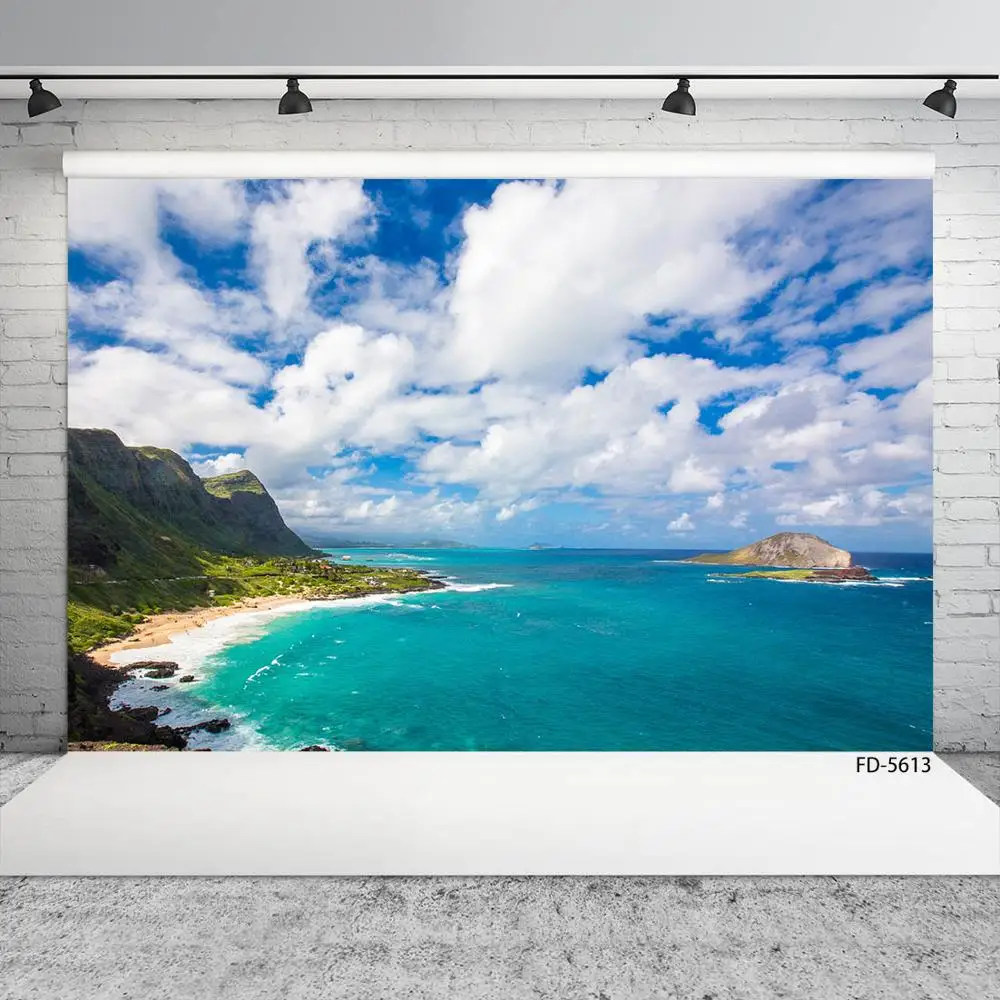 Sea Mountain Stones Scenery Photographic Background Vinyl Cloth Backdrops for Portrait Children Baby Photoshoot Photo Studio