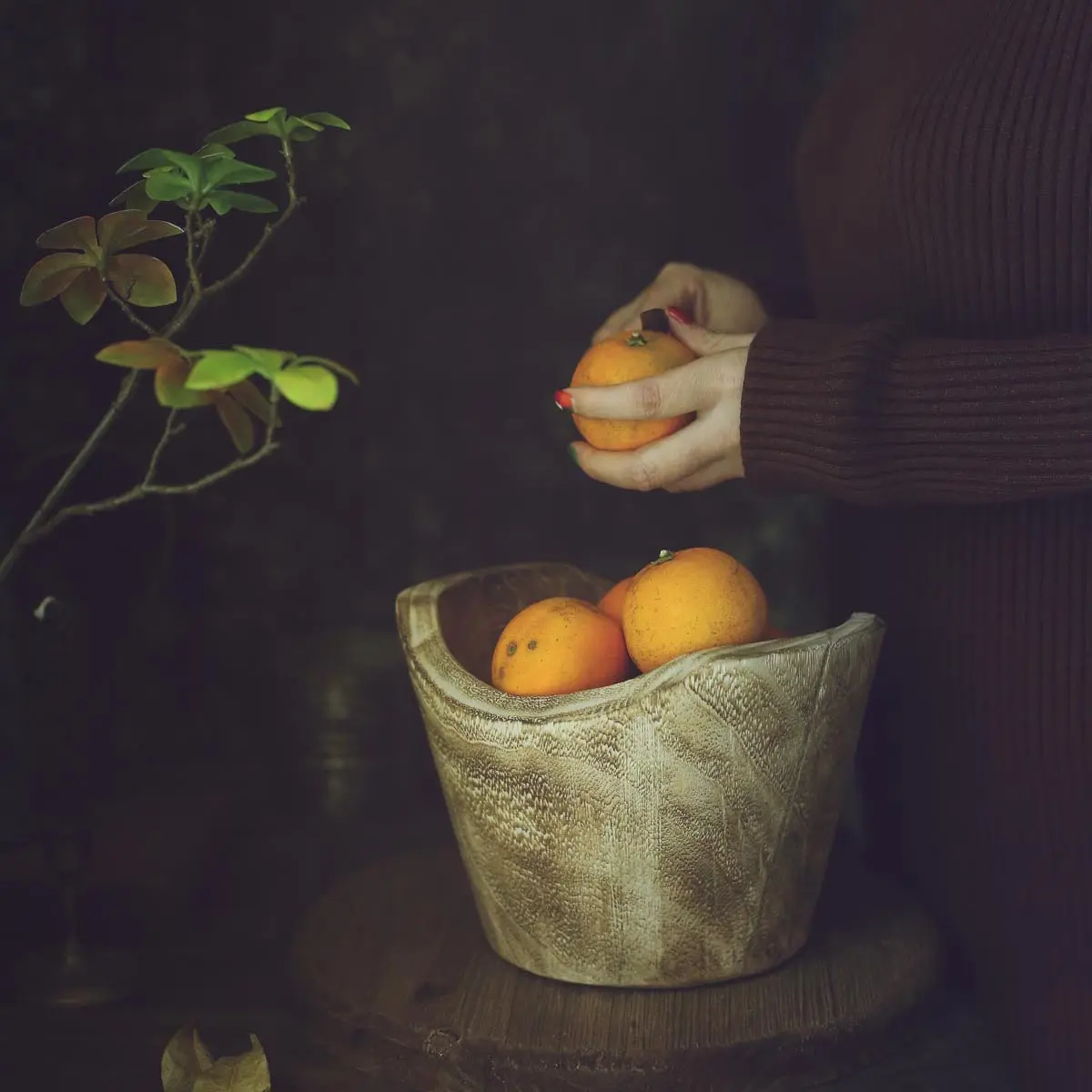 Wooden Bowl Fruit Vegetable Container Original Simple Style Large Bowl Idyllic Paulownia Still Life Food photography props