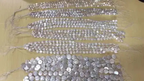 wholesale Big Size 20mm Natural White Coin Shape Fresh Water Loose Pearl For Sale