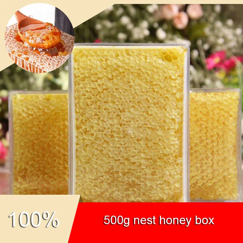 1Pcs Beekeeping Tool 500g Honey Cassette Transparent Plastic Nest Honey Nest Honey Box Nest Removable Clean And Sanitary