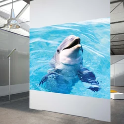 HOHOFILM 152cmx100cm 5Colors Rear Projection Film Screen Film Holographic PET Film Projection Home Theater glass sticker