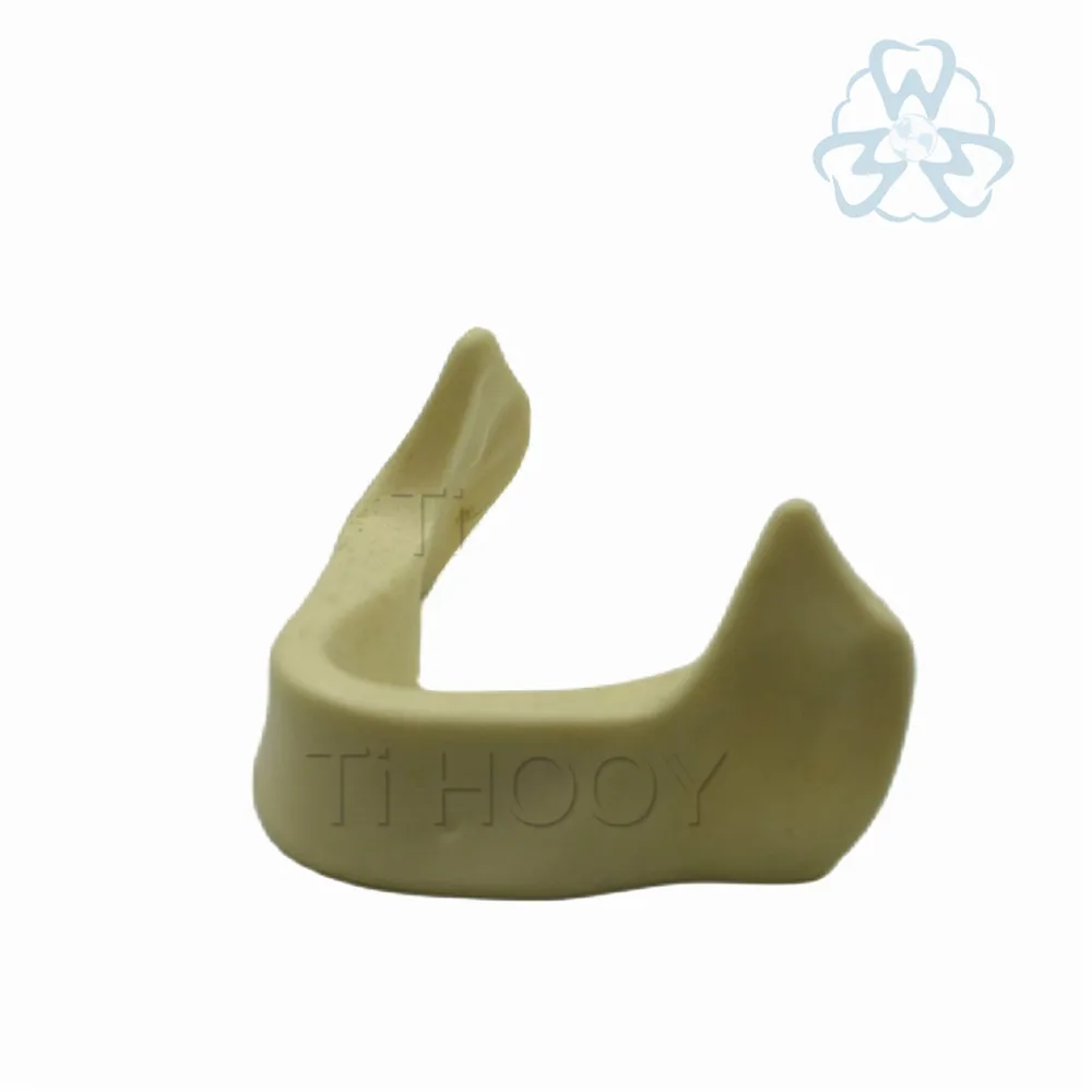 

1pc Teeth Model Imitating Mandibular Sinus Oral Teaching Aids Implant Placement Doctor-patient Communication Practice Model