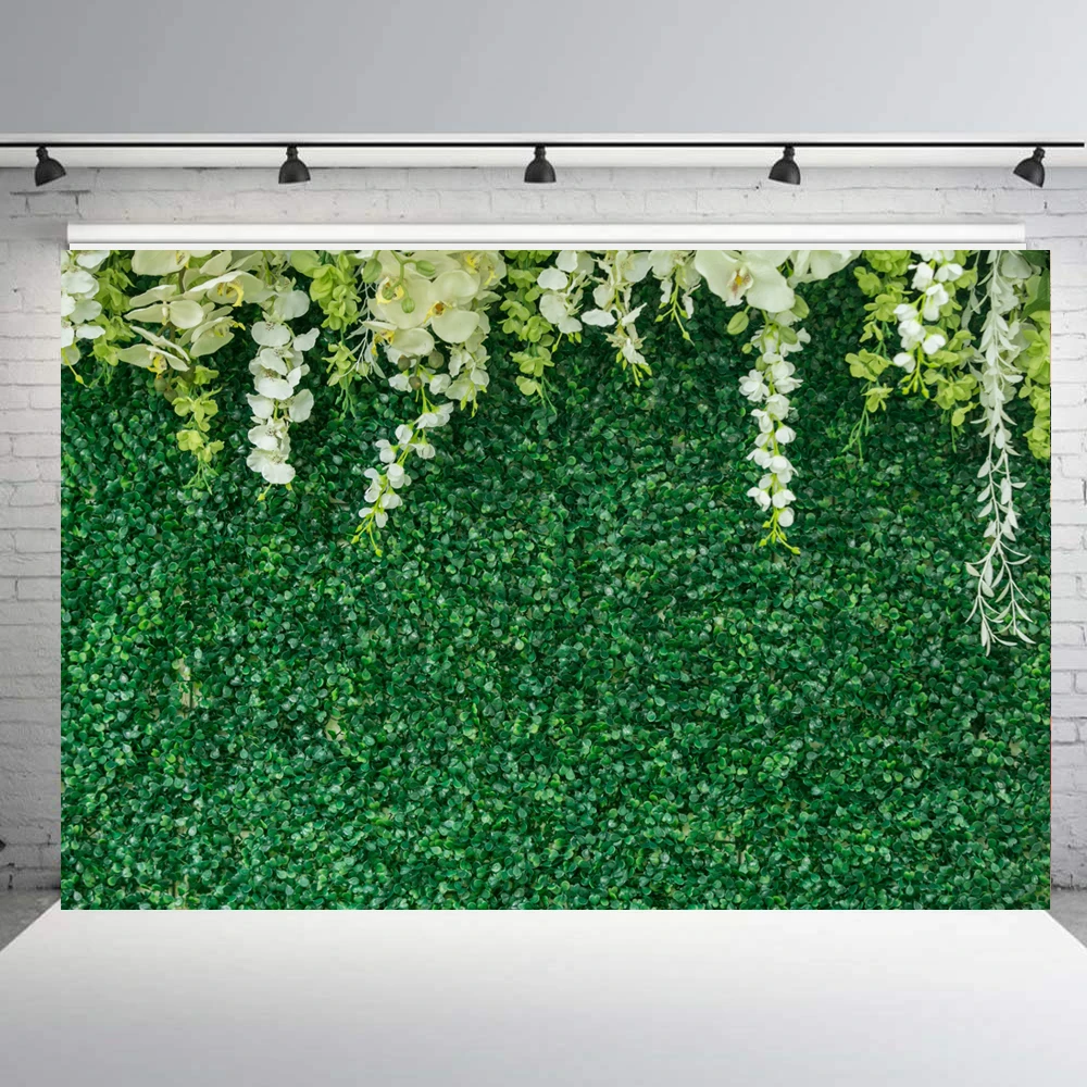 Beipoto decoração de chá de panela, flor branca, folha verde, foto, cenários, floral, festa de casamento, fotografia, planos de fundo