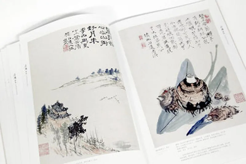 Collection of classics Shi Tao painting drawing art book