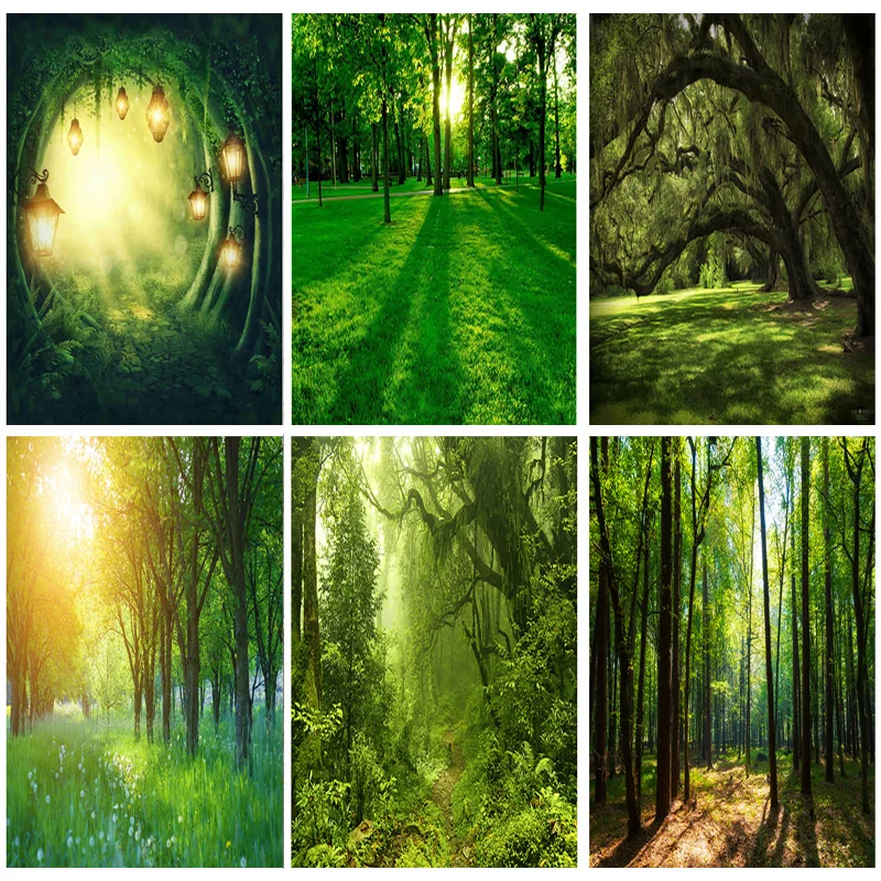 ZHISUXI Rainforest Green Forest Photography Background Natural Scenery Backdrops For Photo Studio Props 1911CXZM-49