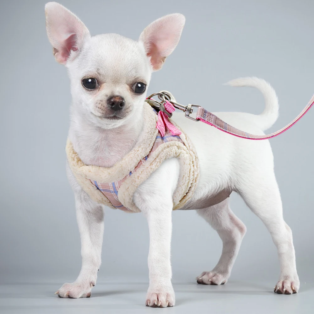 Cute Pet Cat Harness Vest Soft Padded Chihuahua Puppy Cat Harness Collar Adjustable Walking Leash For Small Medium Dogs Cats