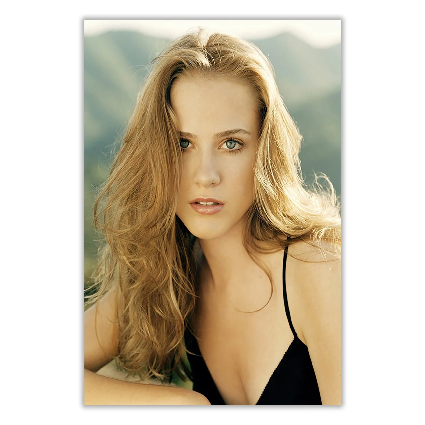 Silk Cloth Wall Poster Evan Rachel Wood Art Home Decoration Gift