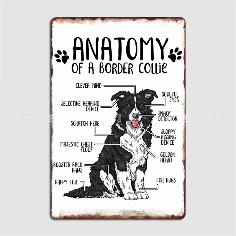 Anatomy Of A Border Collie Metal Plaque Poster Plates Retro Party Wall Pub Tin Sign Posters