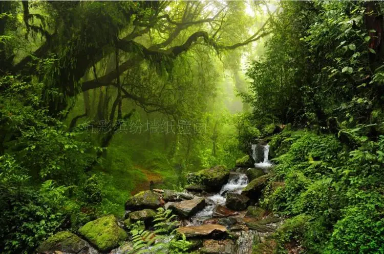 Custom 3D Photo Wallpaper Natural Sunlight Green Forest Landscape Wall Paper for Walls 3D Living Room Bedroom Background Murals