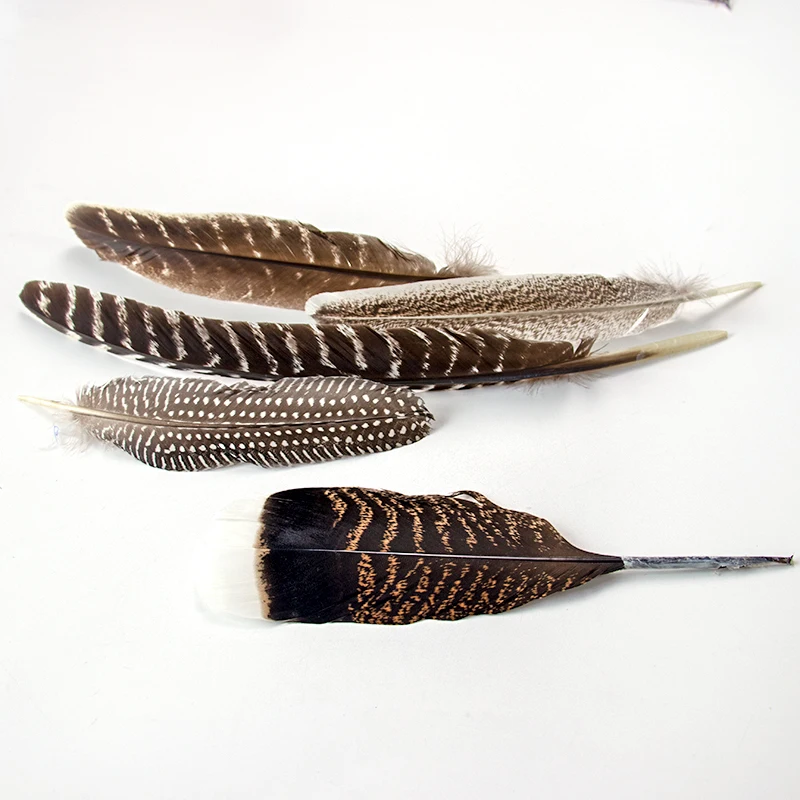 الجملة ريش الدراج الطاووس الطبيعي للحرف اليدوية أعمدة النعام ديكورات منزلية لحفلات الزفاف Plumas بها بنفسك مجوهرات #5
