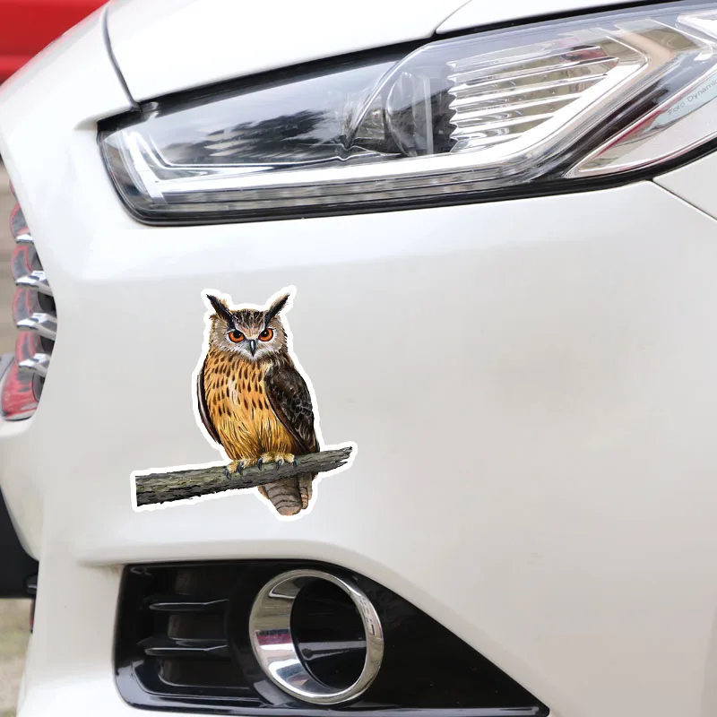 Car Sticker Funny Owl Standing on A Branch Automobiles Motorcycles Exterior Accessories Vinyl Decals for Bmw Audi Vw,16cm*15.4cm