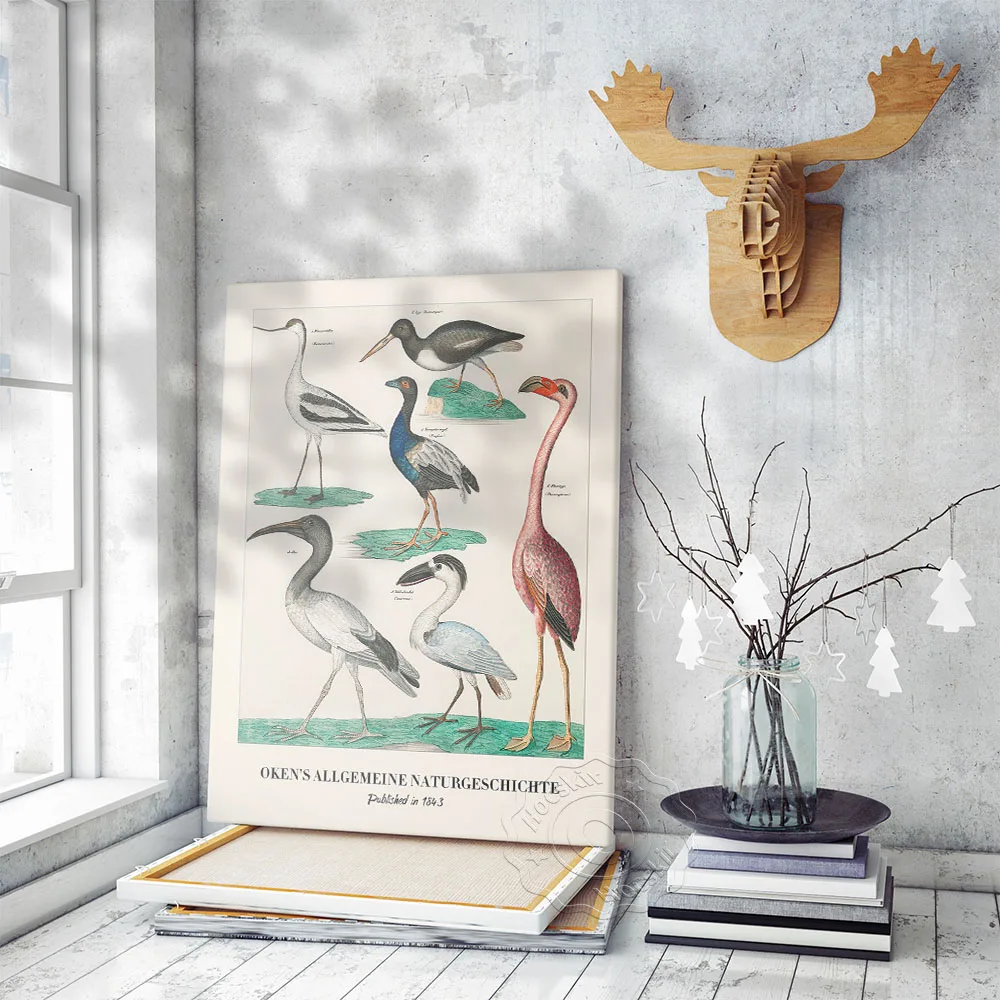 Lorenz Oken-pintura en lienzo, póster de Museo de exposición, impresiones de ilustración de aves, pegatinas artísticas de pared, decoración de estudio de salón y oficina