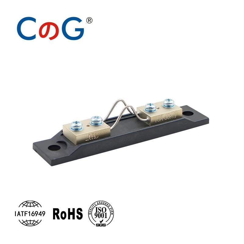 CG 5pcs FL-2D DIN43703 1A 5A 10A 25A 30A 50A 100A 150A 60mV 100mV For Current Measure Brass Resistor DC Shunts WIth Base Shunt