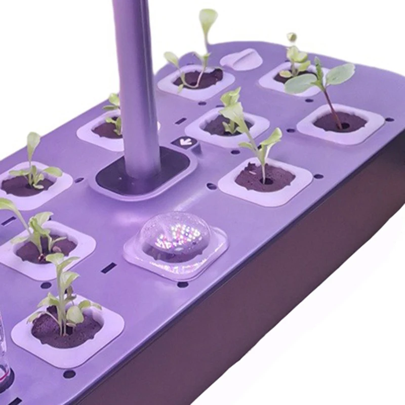 Hydroponics Basket and Sponge on the Non-toxic Soilless Intelligent Plant Machine Hydroponics System For Planting