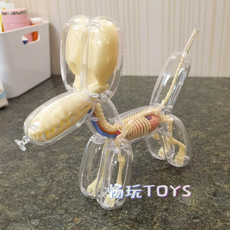 4D MASTER  Balloon Dog Model Detachable DIY Educational Equipment Anatomy Tool Transparent Animal 27810 Canine Skeleton