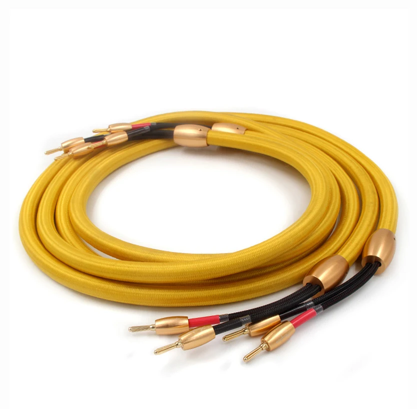 Hifi Accuphase 1th Audio  speaker Cable Gold Plated Banana Plug Speaker Wire For Hi-fi Systems