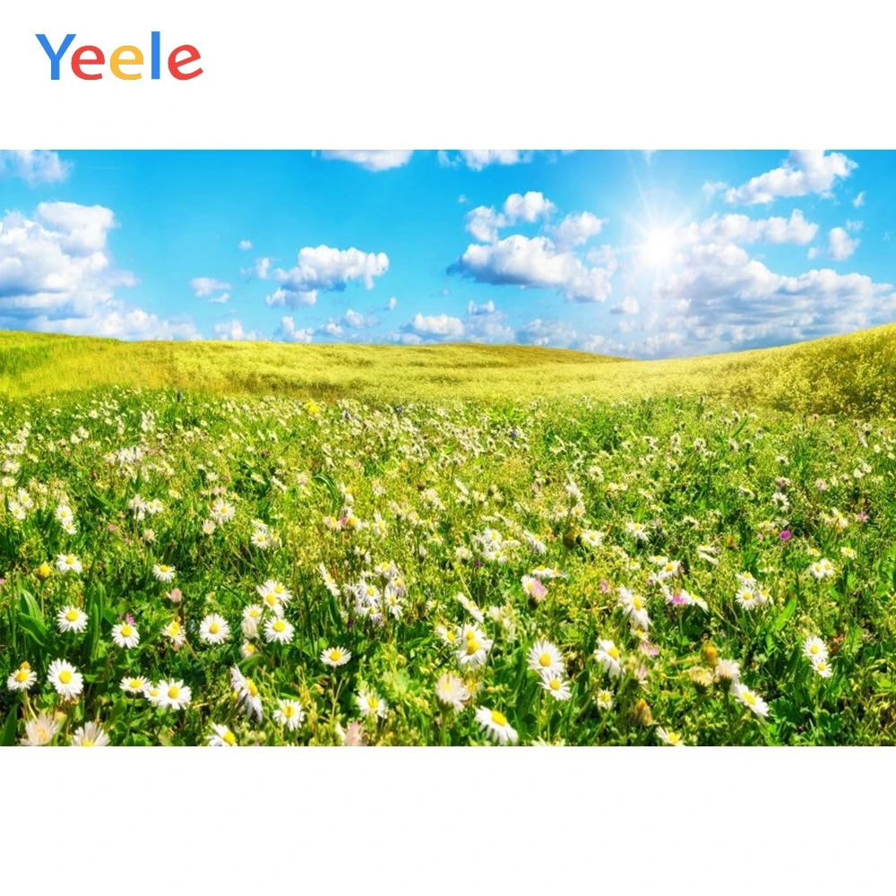 

Spring Flower Grassland Cloud Sky Nature Scene Photography Backdrops Vinyl Photographic Background For Photo Studio Photophone