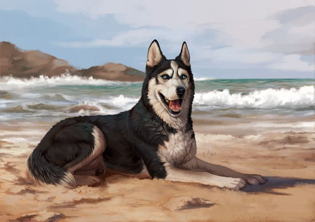 Jmine Div 5D Full Diamond Painting Husky Dog Beach Cross Stitch Kits Art High Quality Animal 3D Paint by Diamonds