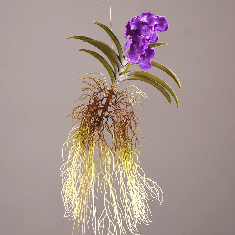 91CM Artificial Lifelike Vanda Orchid With Leaf Roots Modern Light Luxury Living Room Home Decoration Artificial Flower Props