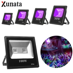 UV LED Floodlight Motion Sensor Waterproof Stage Light 10W 20W 30W 50W 100W High Power Ultra Violet Blacklight AC85-265V