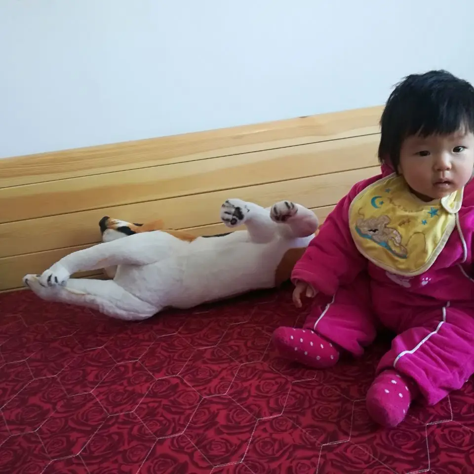 Grand chien beagle en peluche de 73cm, simulation de chien beagle, poupée douce, oreiller, cadeau d'anniversaire w1655