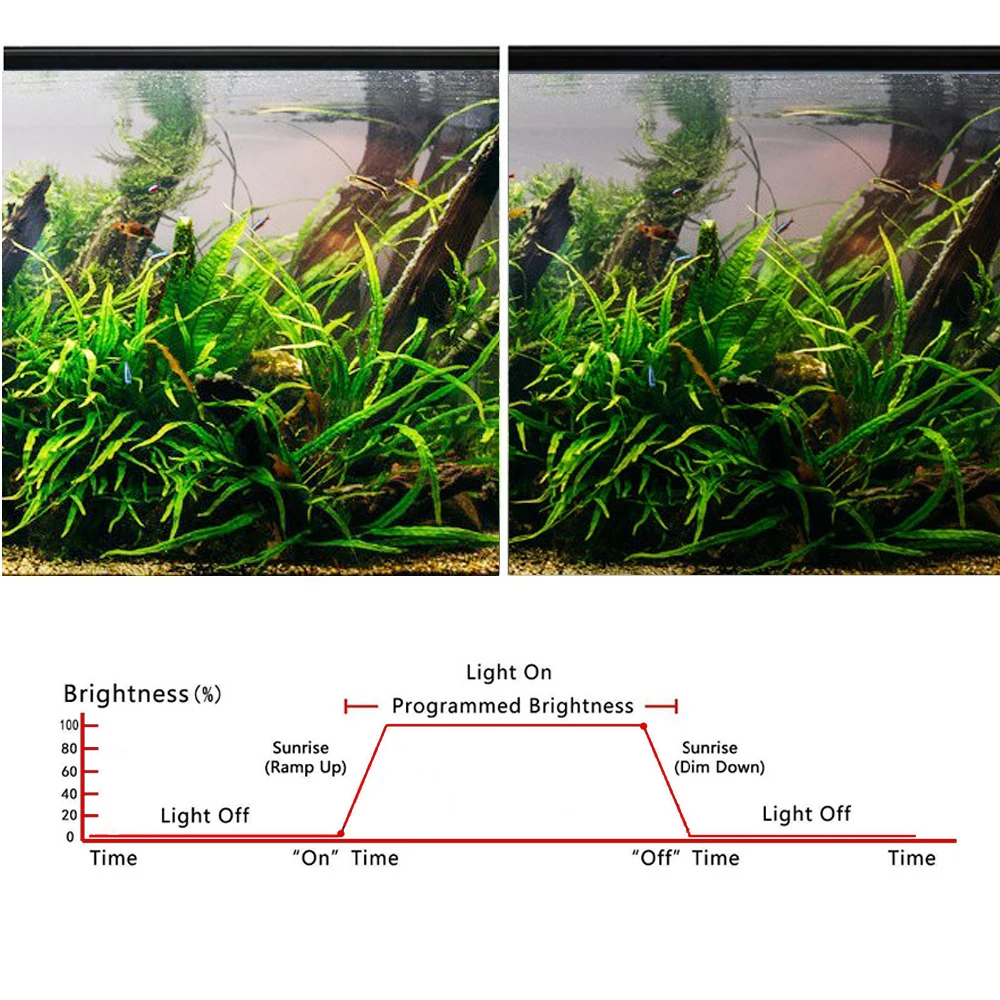 수족관 스마트 조광기 시스템 LED 조명 타이머, 밝기 조정 어항 지능형 조명 컨트롤러, 3-100W 타이밍 시스템