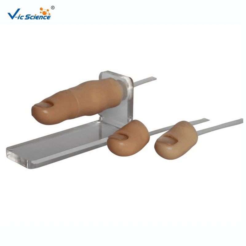 

Medical Education Advanced Ingrowing Toenail Trainer Model