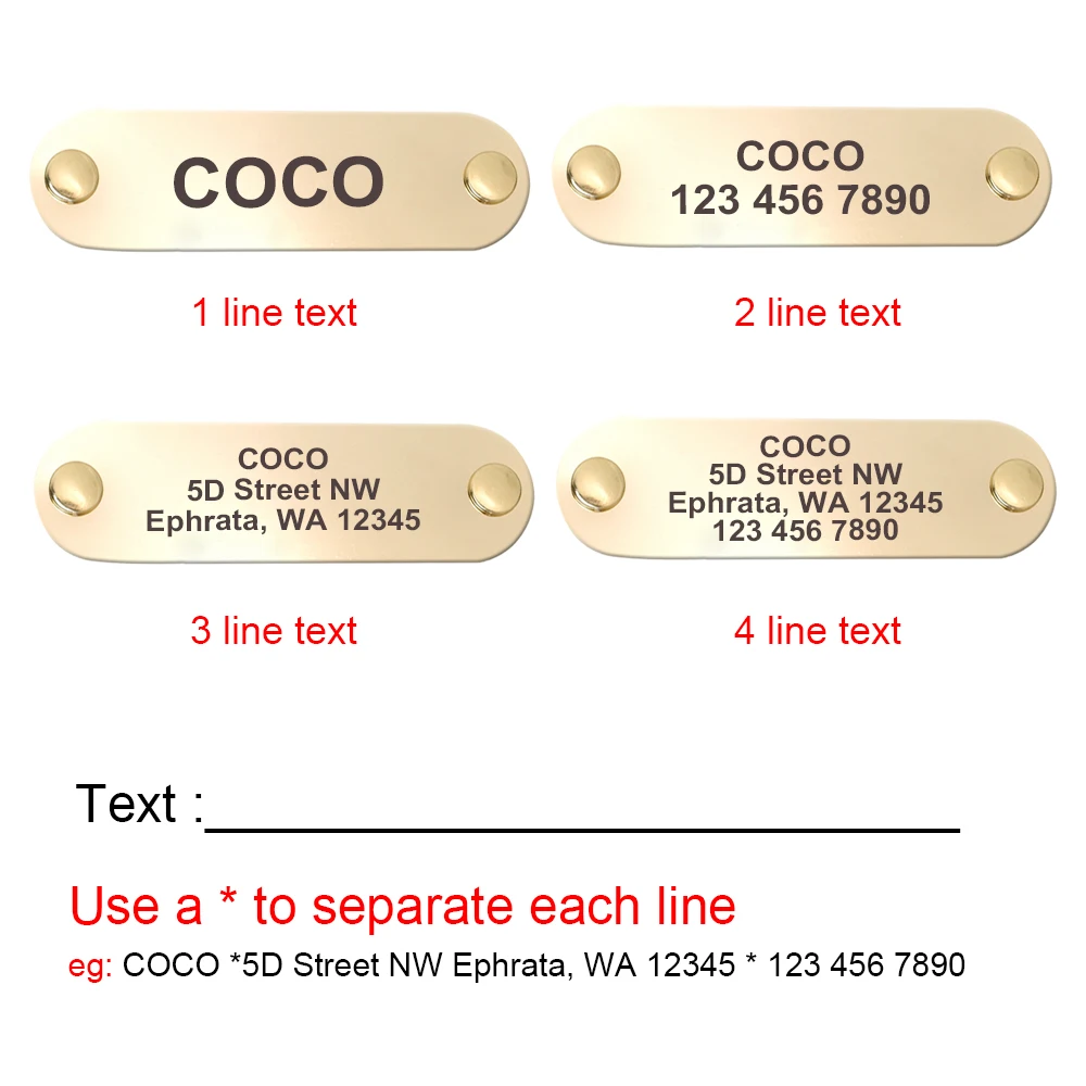 Personalisierte Hundehalsband-Leine aus echtem Leder, langlebige Hundehalsbänder, Gehbleine, Seil, frei mit Gravur für kleine, mittelgroße und große Hunde – Detail 4