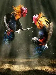 ZMKDLL Two Roosters Fighting Chicken Tin Sign Art Metal Wall Plaque Chicken Coop Decor Outdoor Indoor Wall Panel Retro Vintage