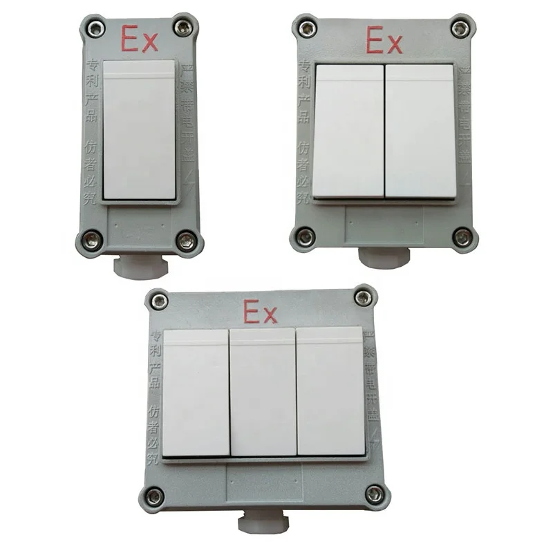 explosion proof light switch