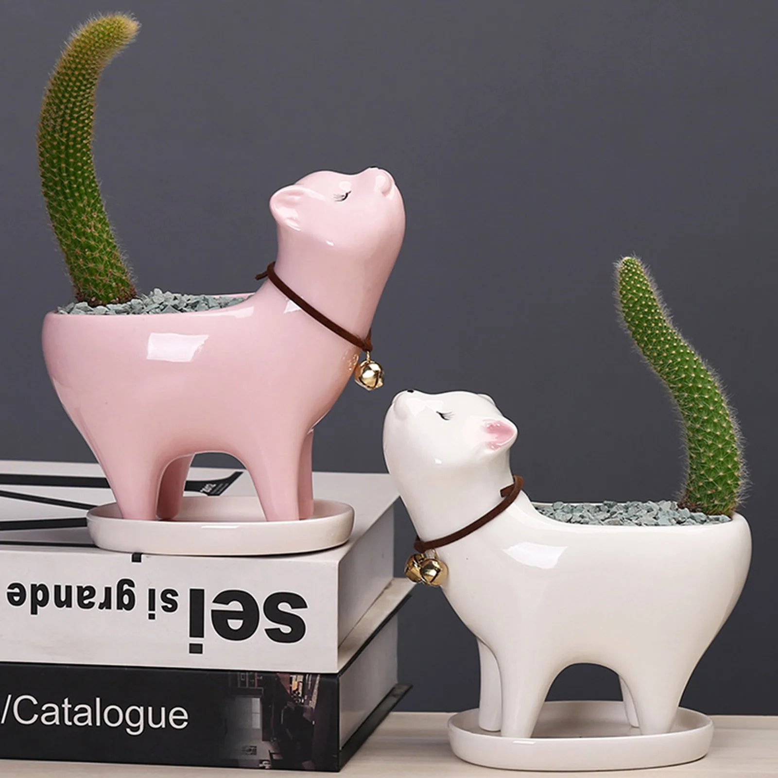 

Creativity Cute Cat Tail Flower Pot With Ceramic Board Garden Pot Succulents Pot Without Plants For Decorating Room Desktop