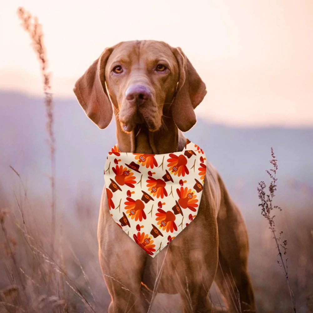 Dog Bandanas Thanksgiving Puppy Cat Dog Bibs For Small Dog Scarf Cozy Nylon Pumpkin Print Dog Accessories for Fall Pet Supplies