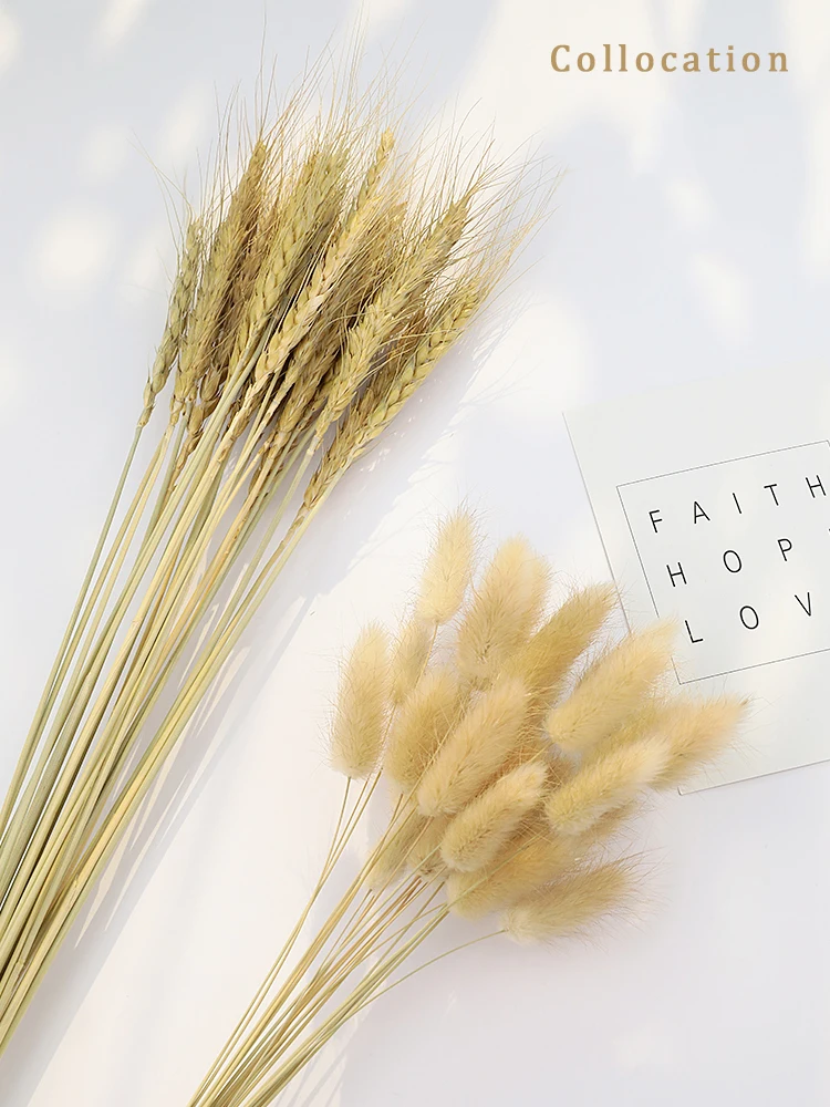 

Natural Dried flower Rabbit Tail Grass & Wheat Straw & Reed Flower Photography Props Food Photo Shooting Background Ornaments