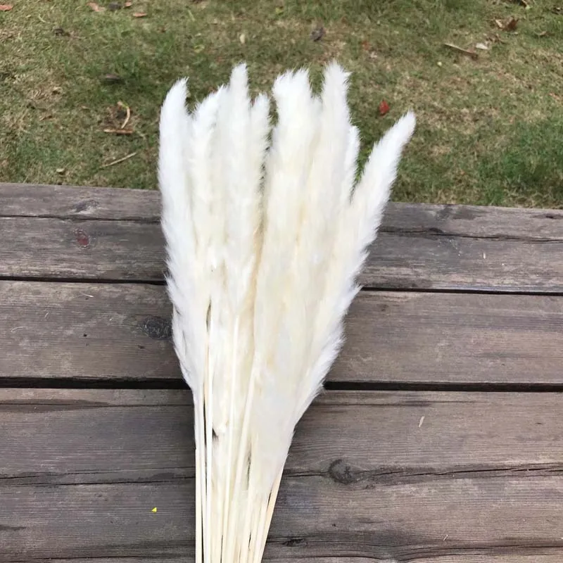 Flower Ear15~30CM/Toal Length 40~43CM Real Dried Natural Pampas Grass,Reed Flower,Dry Small Bulrush Bouquet ,Home Decor,Wedding