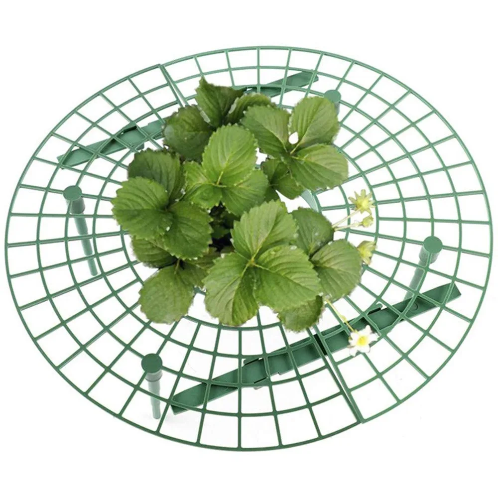 5/10/20 PCS Plant Support Strawberry Stand Frame Holder Balcony Planting Rack Fruit Support Plant Flower Climbing Vine Pillar