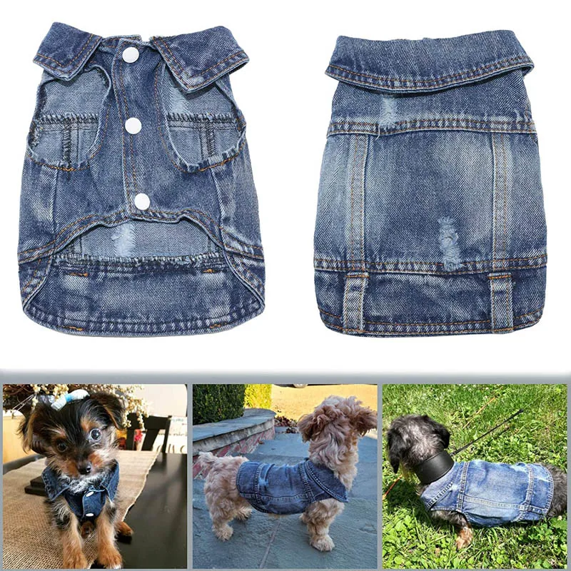 Dog Denim Jacket for Small Medium Dogs Spring Autumn Dog Clothes Classic Jeans Lapel Vest Chihuahua Yorkie Bulldog Pet Apparel