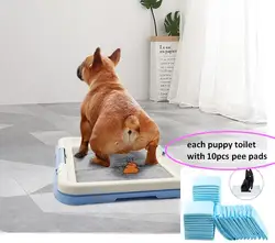 Portable Dog Training Toilet Indoor Dogs Potty for Small Dogs Cats Cat Litter Box Puppy Pad Holder Tray x 10pcs diapers