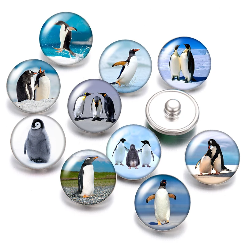 Ocean animals penguin Turtle whale 18mm snap buttons 10pcs mixed round photo glass cabochon style for snap button jewelry